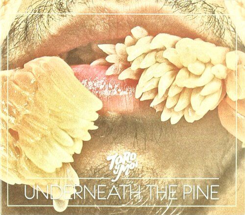 Toro Y Moi - Underneath the Pine - Preis vom 07.10.2026 11:45:10 h