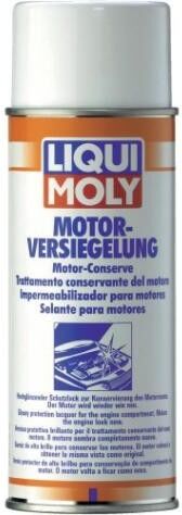 LIQUI MOLY 3327 Engine Gloss Paint