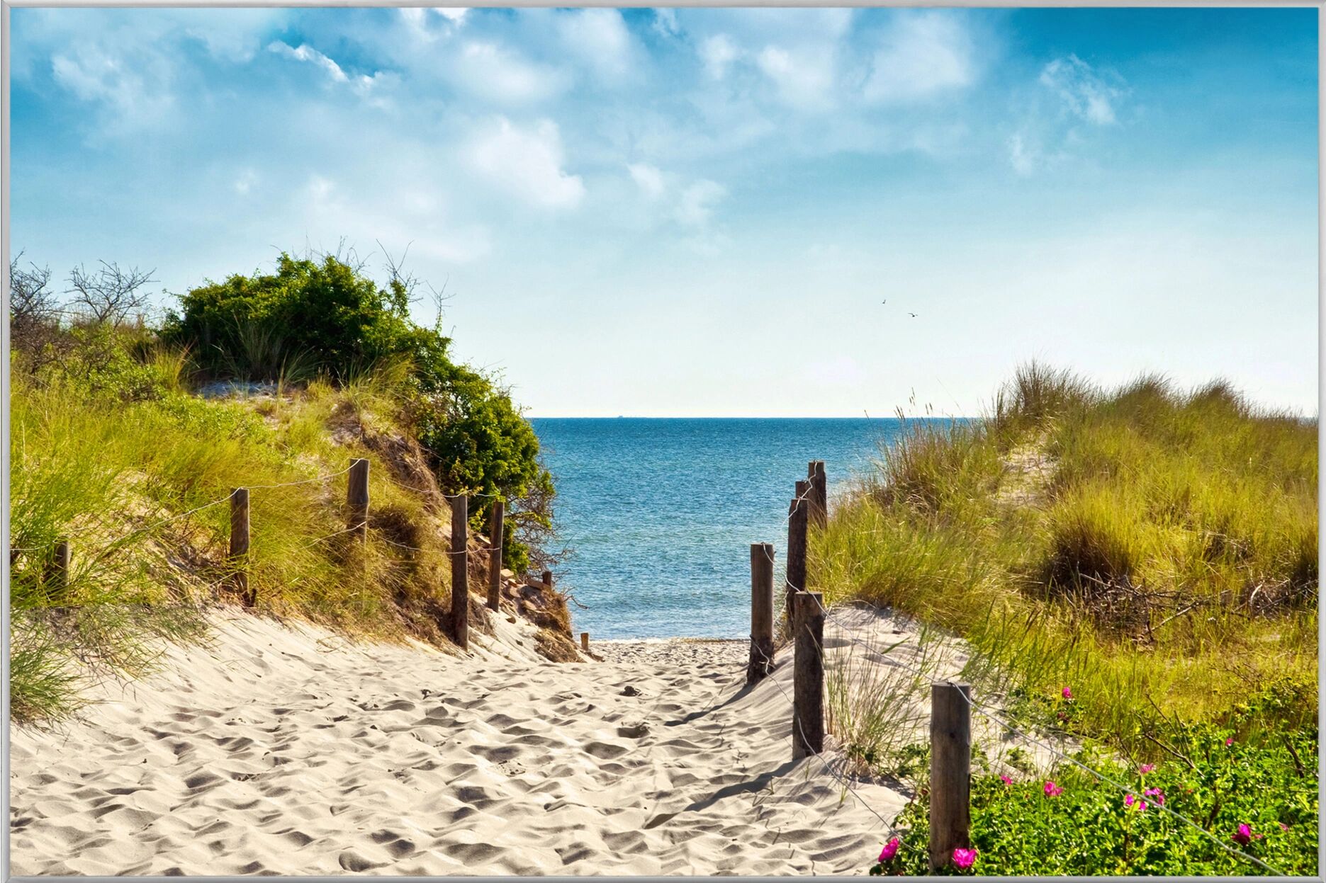 image LAND Spaziergang Zum Meer