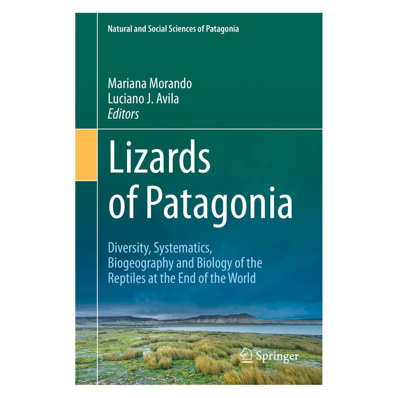 Springer Lizards of Patagonia (Englisch, Hardcover, Luciano J. Avila, Mariana Morando) (9783030427511)