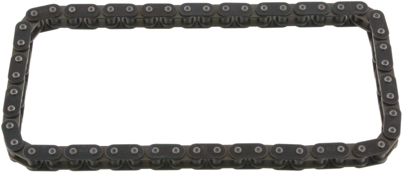 FEBI BILSTEIN 09586 Steuerkette