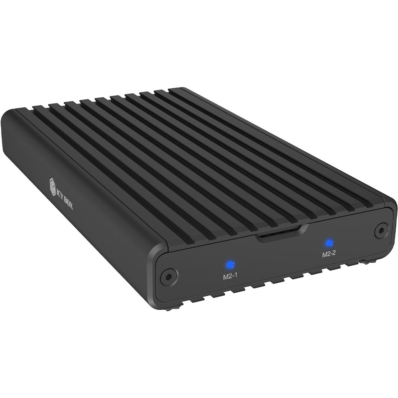 ICY BOX Dock M.2 2x NVMe SSD