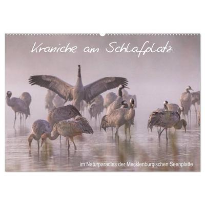 Kraniche am Schlafplatz - im Naturparadies der Mecklenburgischen Seenplatte (Wandkalender 2026 DIN A2 quer), CALVENDO Monatskalender