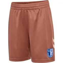 hummel 1. FC Magdeburg Auswärtsshorts 2026/27 Kinder 8073 - chutney 116