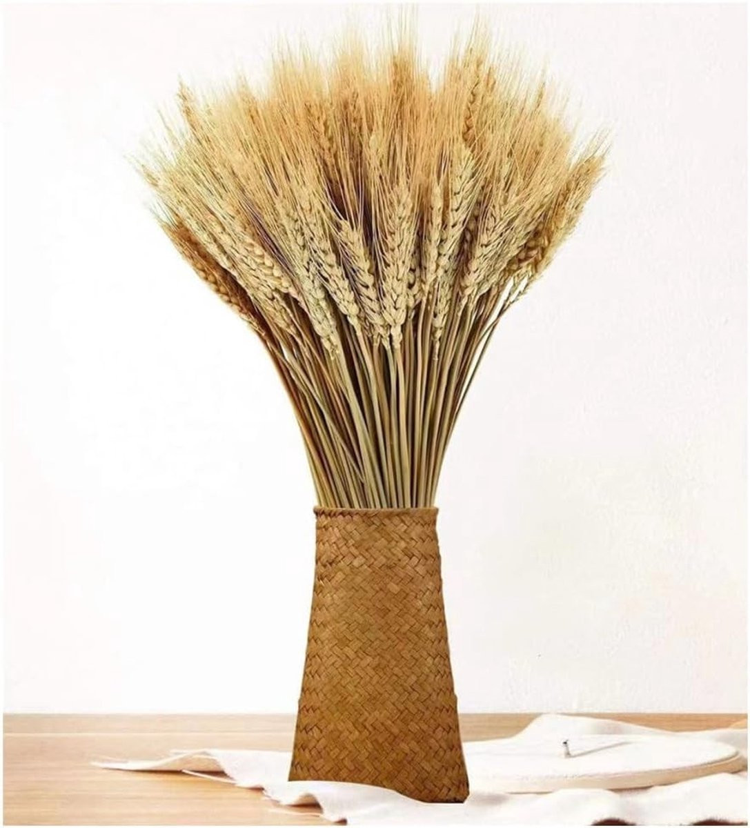 100 stelen gedroogde tarwe tips voor decoratie, 40 cm