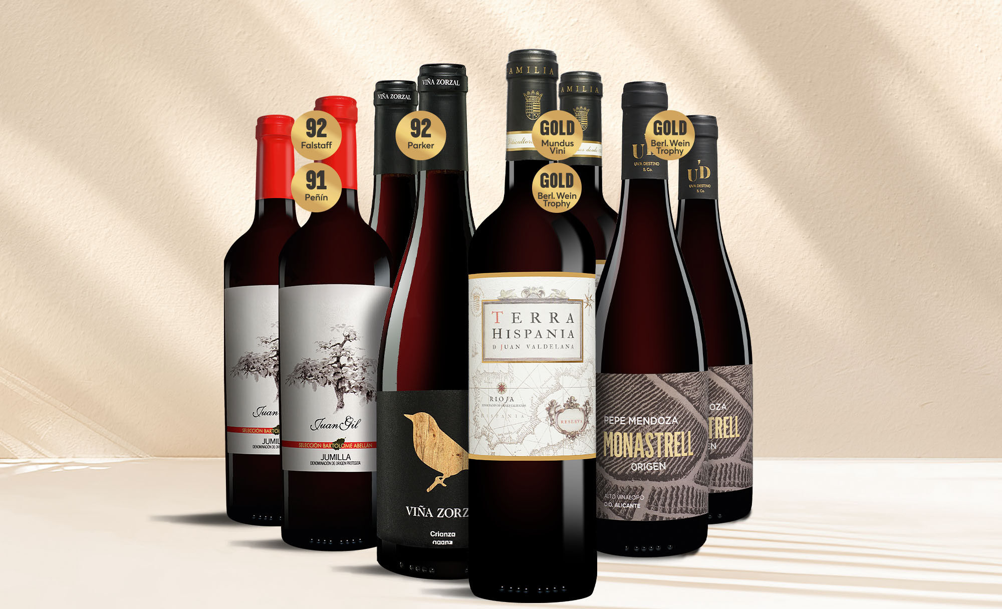 Tinto-Favoriten Weinpaket  aus Spanien