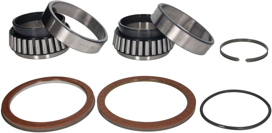 Zf Cuscinetto ruota 0501215596