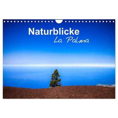 Naturblicke - La Palma (Wandkalender 2027 DIN A4 quer), CALVENDO Monatskalender