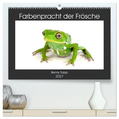 Farbenpracht der Frösche (hochwertiger Premium Wandkalender 2027 DIN A2 quer), Kunstdruck in Hochglanz
