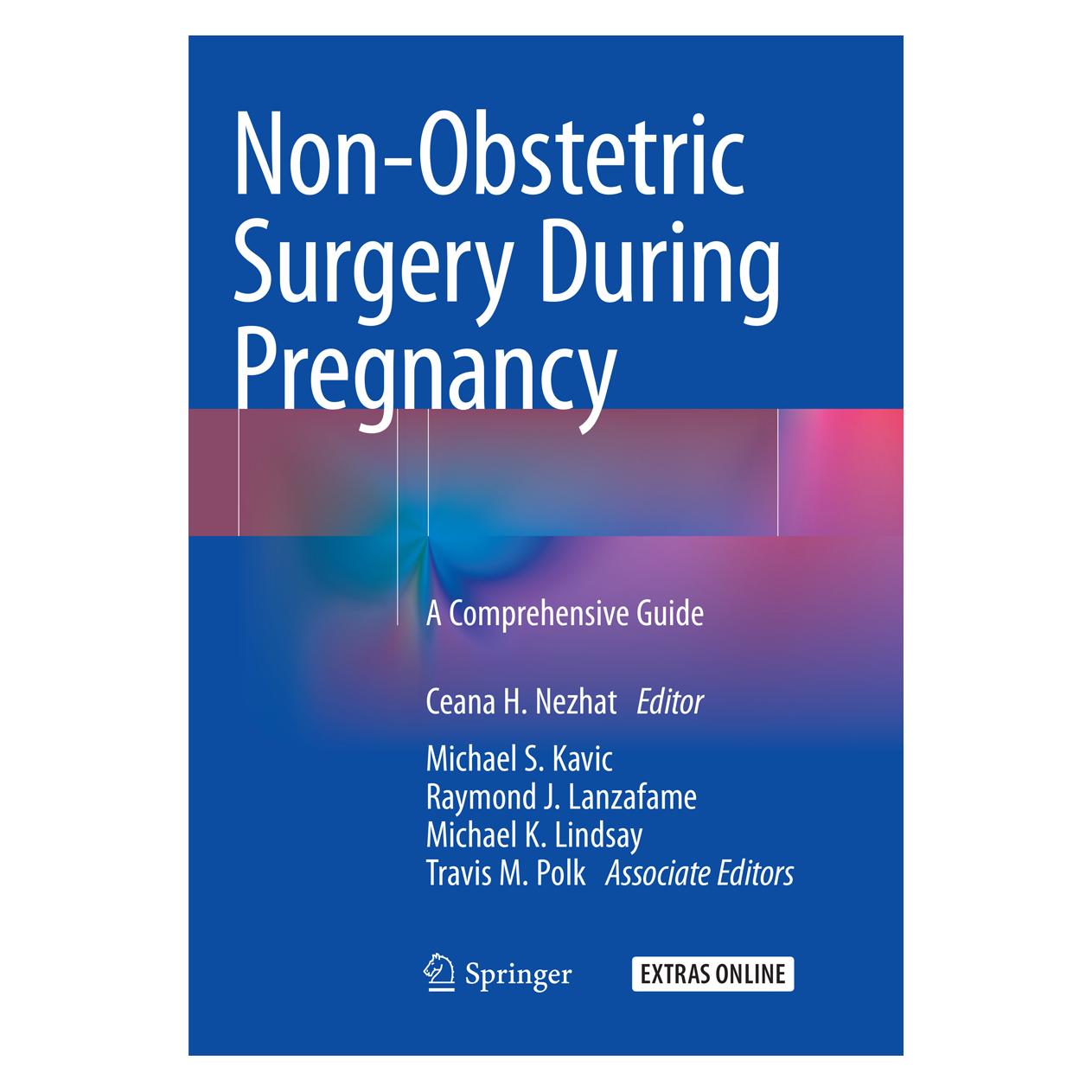 Springer Non-Obstetric Surgery During Pregnancy (Englisch, Softcover, Ceana H. Nezhat, J Lanzafame Raymond, Michael K. Lindsay, Michael S. Kavic, Raymond J. Lanzafame, S Kavic Michael, Travis M. Polk) (56115258)