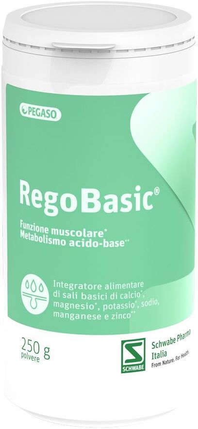 SCHWABE PHARMA ITALIA Srl Schwabe Pharma, Regobasic Polvere, 250 g
