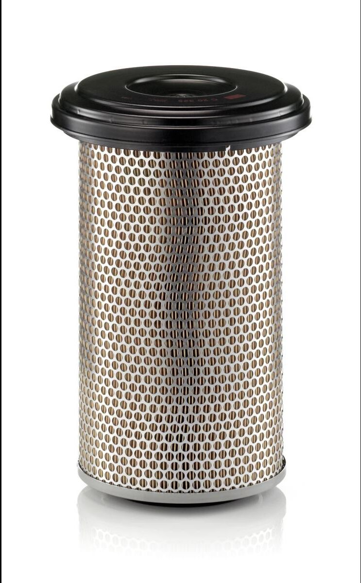 MANN-FILTER C 20 325 Air filter
