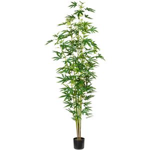 Creativ-green Kunstpflanze Zierhanf, im Topf, Höhe 210 cm