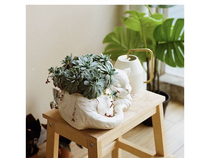 Vase en résine artisanat décoration salle armoire porche Arrangement plante succulente Pot