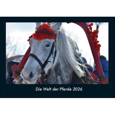 Die Welt der Pferde 2026 Fotokalender DIN A4