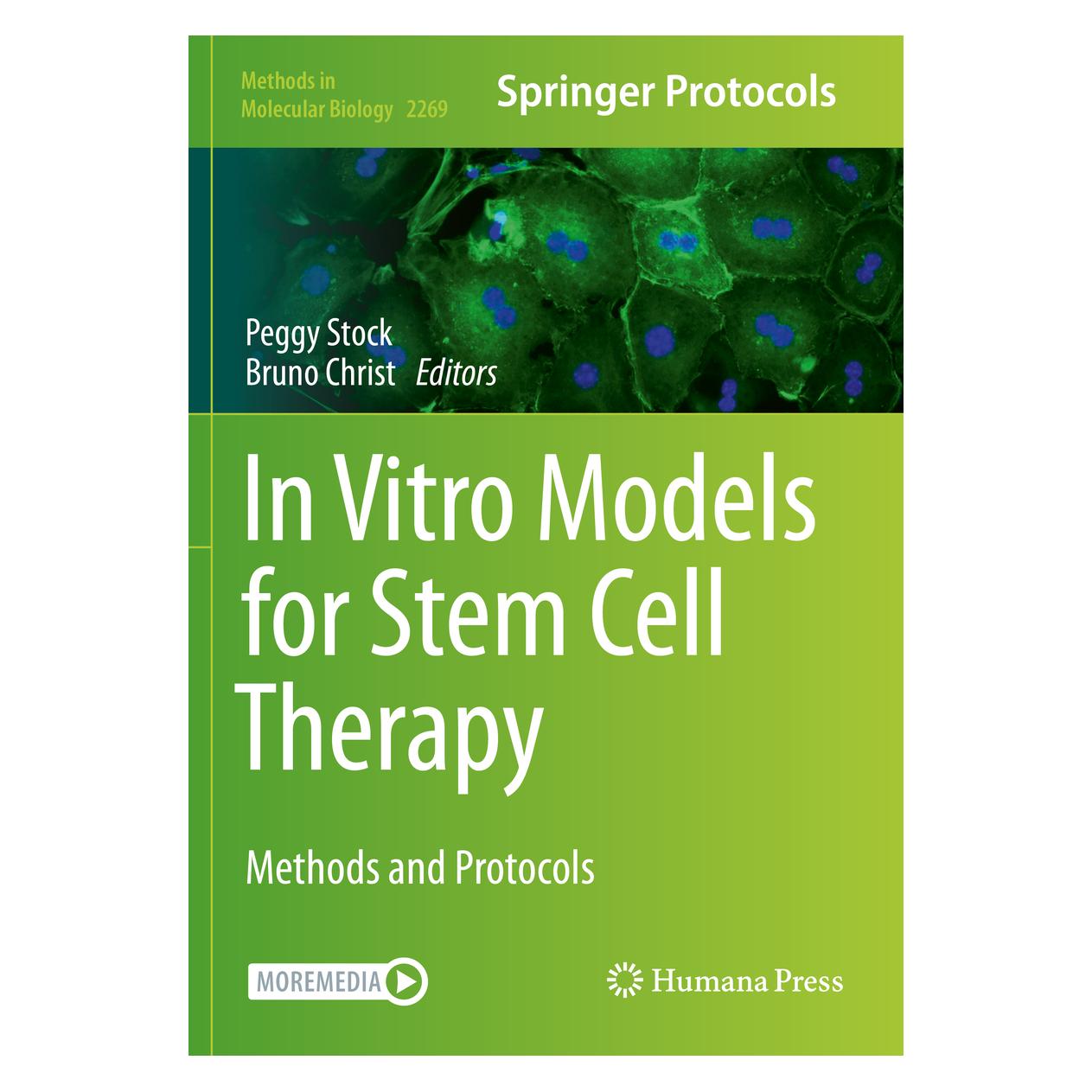 Springer In Vitro Models for Stem Cell Therapy (Englisch, Softcover, Bruno Christ, Peggy Stock) (56820351)
