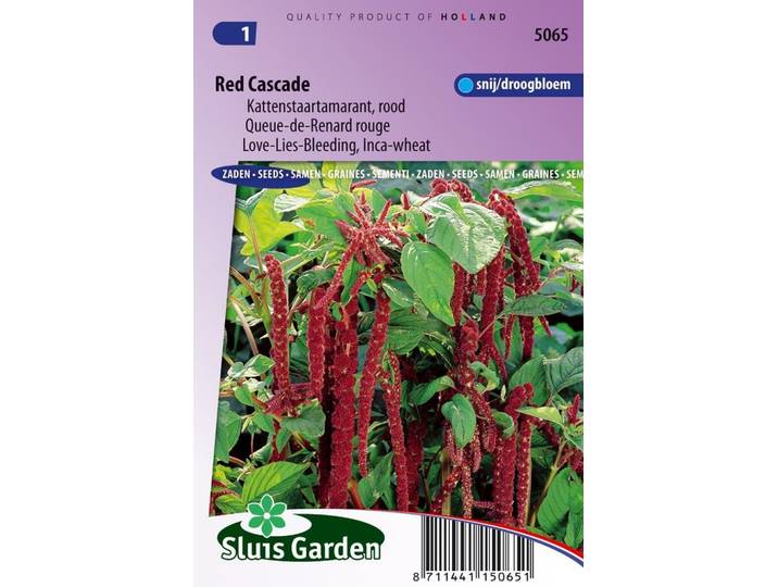 Amaranthus Caudatus zaden Red Cascade