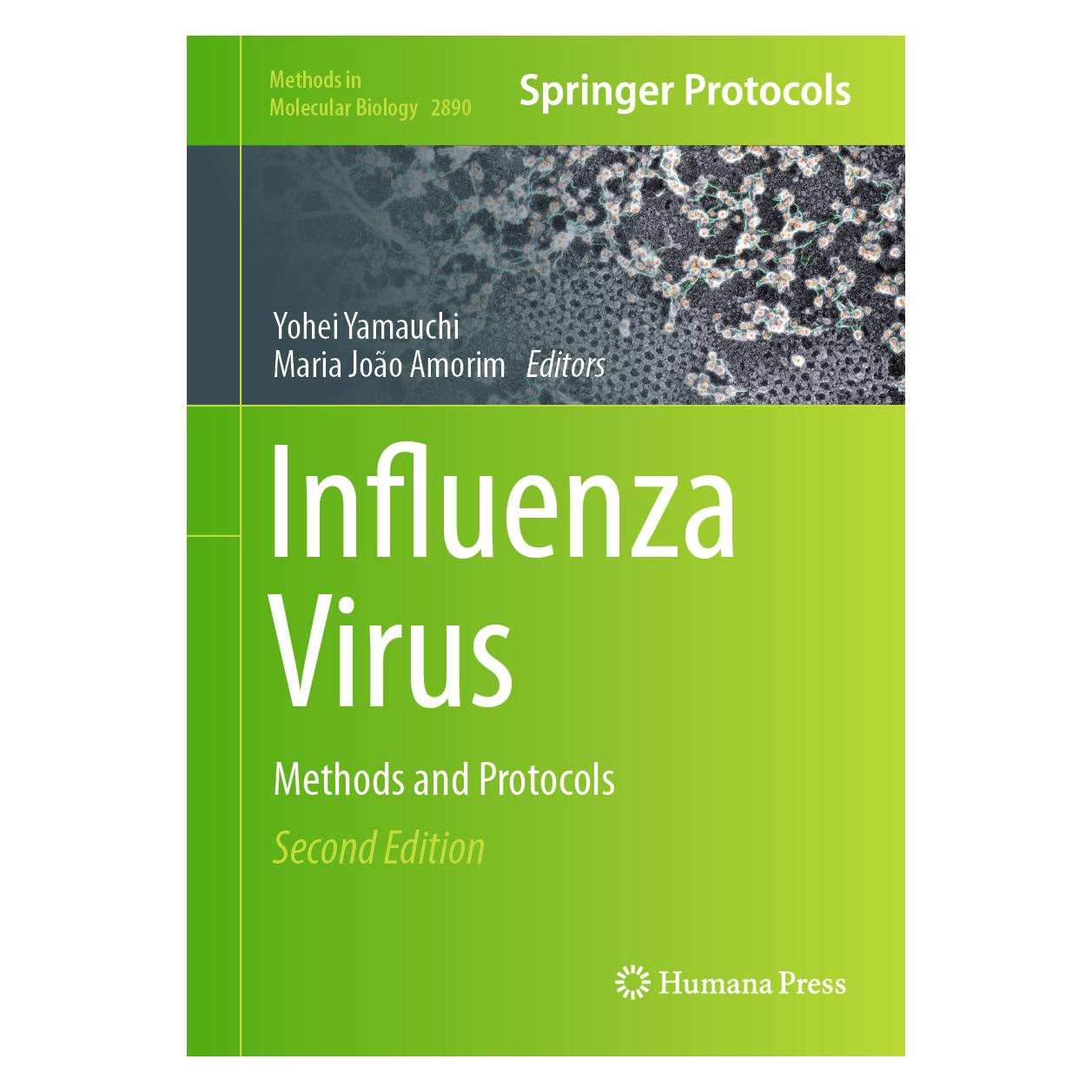 Springer Influenza Virus (Englisch, 2025) (61633450)
