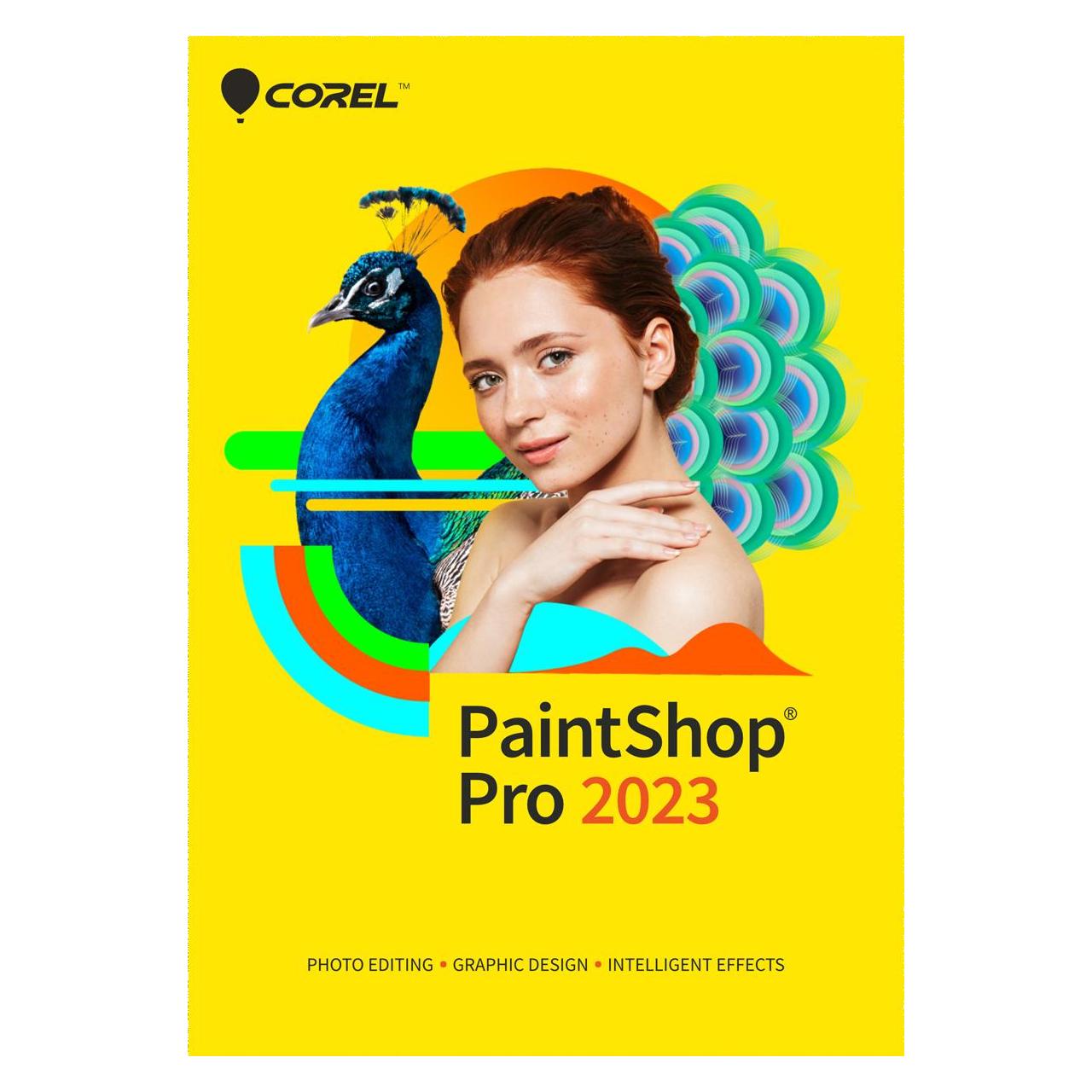 Corel PaintShop Pro 2023 (Key) (1 User, 1 Geräte/User, unbegrenzt) (ESDPSP2023ML)
