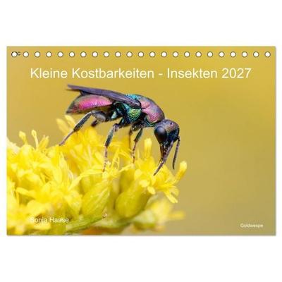 Kleine Kostbarkeiten Insekten (Tischkalender 2027 DIN A5 quer), CALVENDO Monatskalender