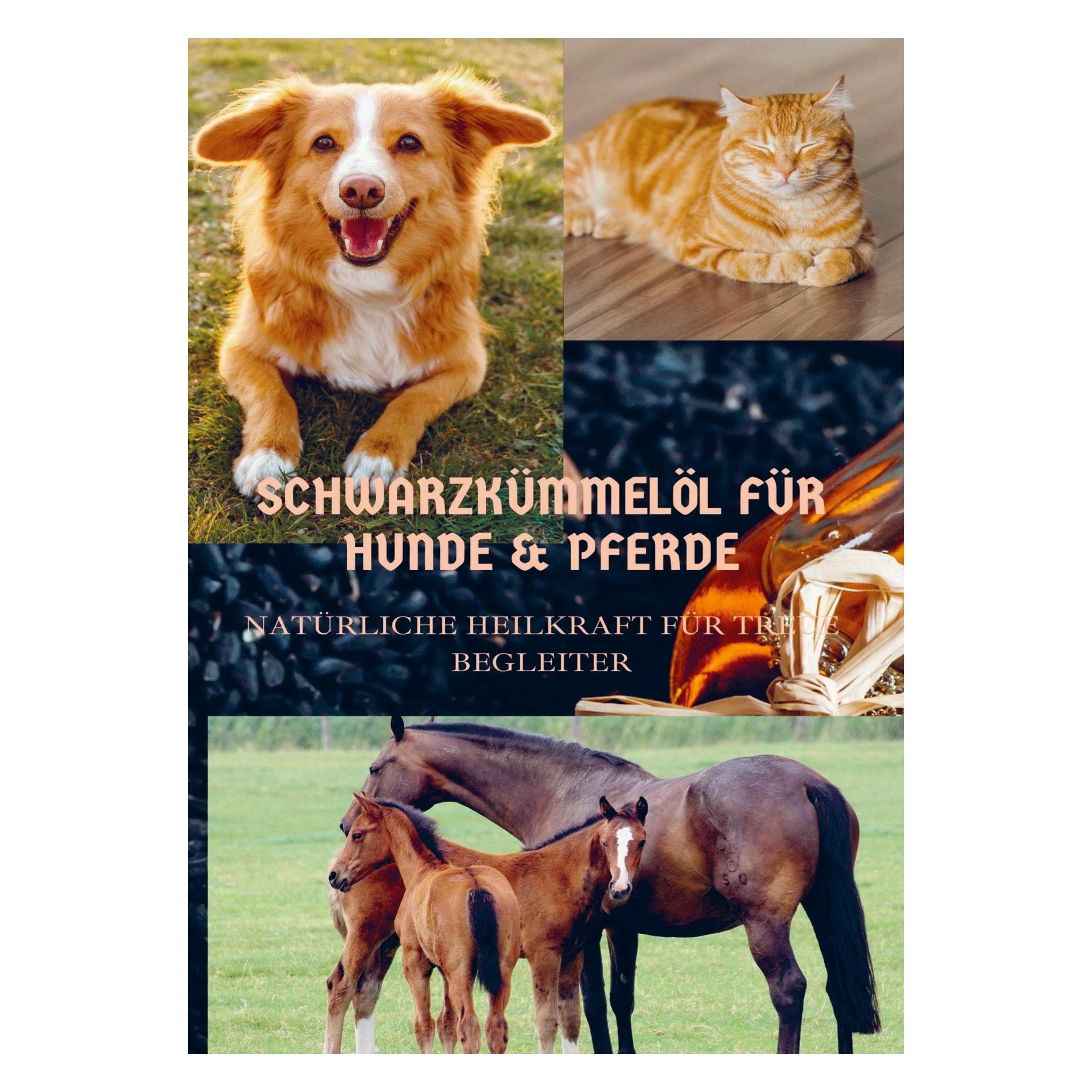Bookmundo Direct SchwarzkÜmmelÖl FÜr Hunde & Pferde (Deutsch, Softcover, Sabine Wolfgang) (47867462)