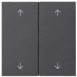 Gira 538728 Wippe 2f Pfeile Smart Home System 55 Anthrazit