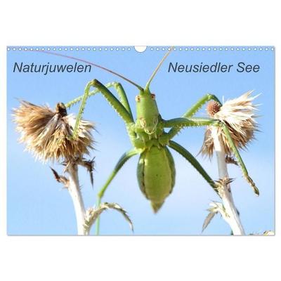 Naturjuwelen - Neusiedler See (Wandkalender 2026 DIN A3 quer), CALVENDO Monatskalender