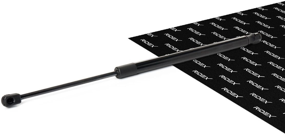RIDEX 219G1492 Heckklappendämpfer