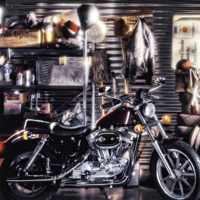 Harleys A&I 2013