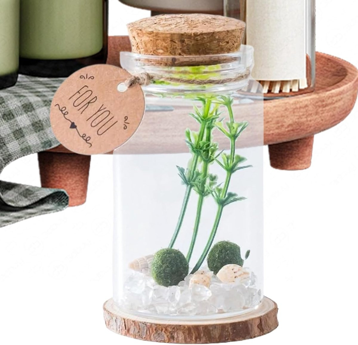 Transparante mini decoratieflesjes met houten kurk voor het versturen van berichten, 47 x 47 x 8 cm
