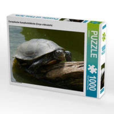 CALVENDO Puzzle Europäische Sumpfschildkröte (Emys orbicularis) 1000 Teile Lege-Größe 64 x 48 cm Foto-Puzzle Bild von kattobello