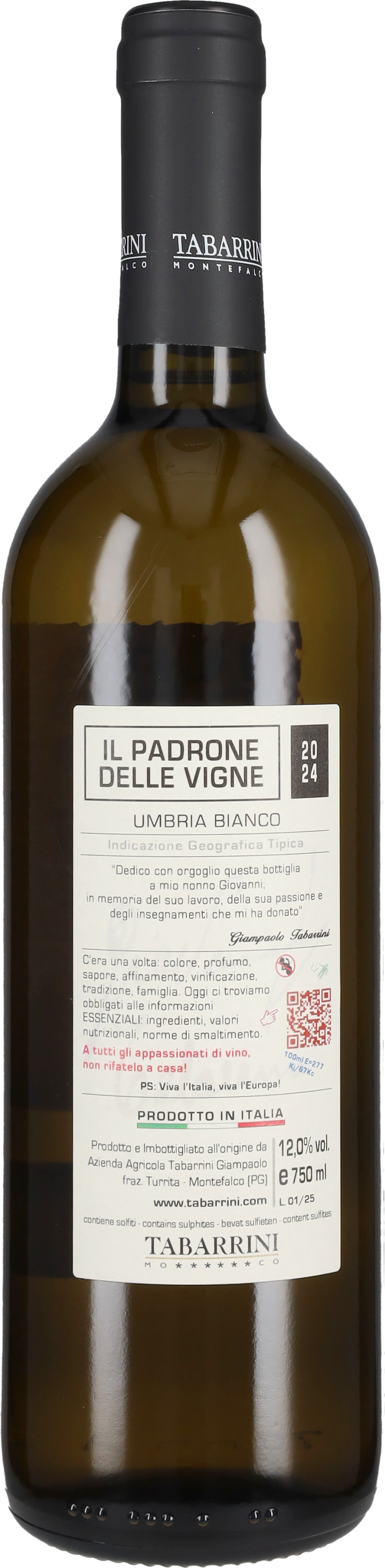 Tabarrini Bianco 'Il Padrone delle Vigne' 2025