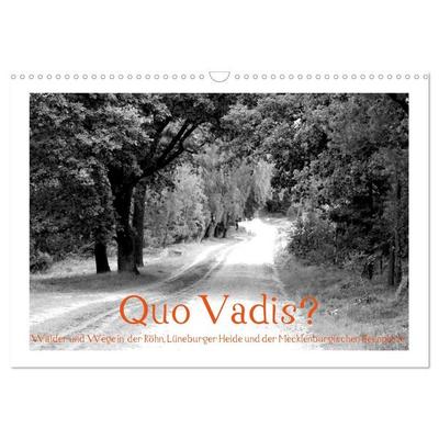 Quo Vadis? Wälder und Wege in der Röhn, Lüneburger Heide und der Mecklenburgischen Seenplatte (Wandkalender 2027 DIN A3 quer), CALVENDO Monatskalender