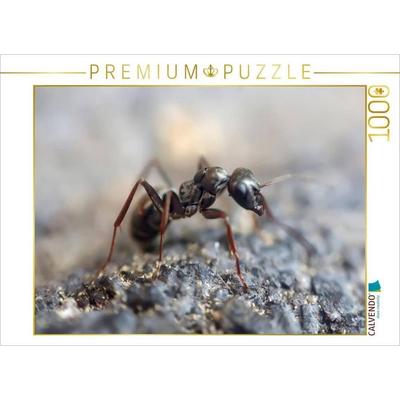 CALVENDO Puzzle Ameisen - Ordnung im Durcheinander | 1000 Teile Lege-Größe 64x48cm Foto-Puzzle für glückliche Stunden, Sonstige von , Calvendo Puzzle