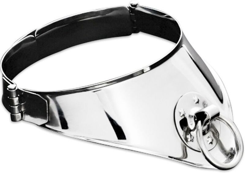 METAL HARD collier de retenue avec anneau et cadenas 12,5 cm