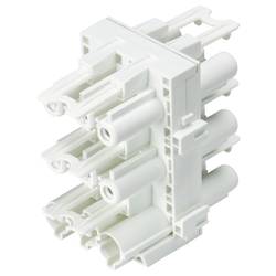 Wieland Electric 92.030.0953.0 Verteiler