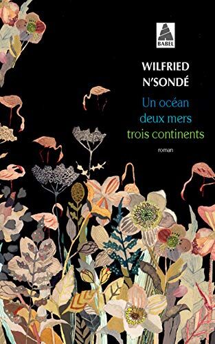 Wilfried N'Sondé - Un océan, deux mers, trois continents - Preis vom 12.10.2026 11:37:12 h