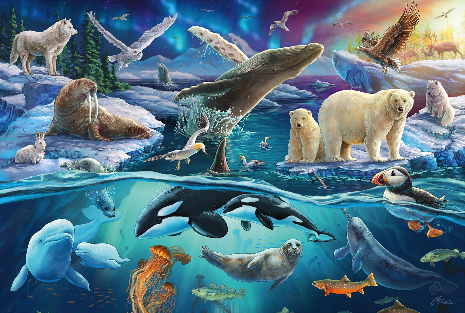 Schmidt Spiele Puzzel Dieren in de Arktis
