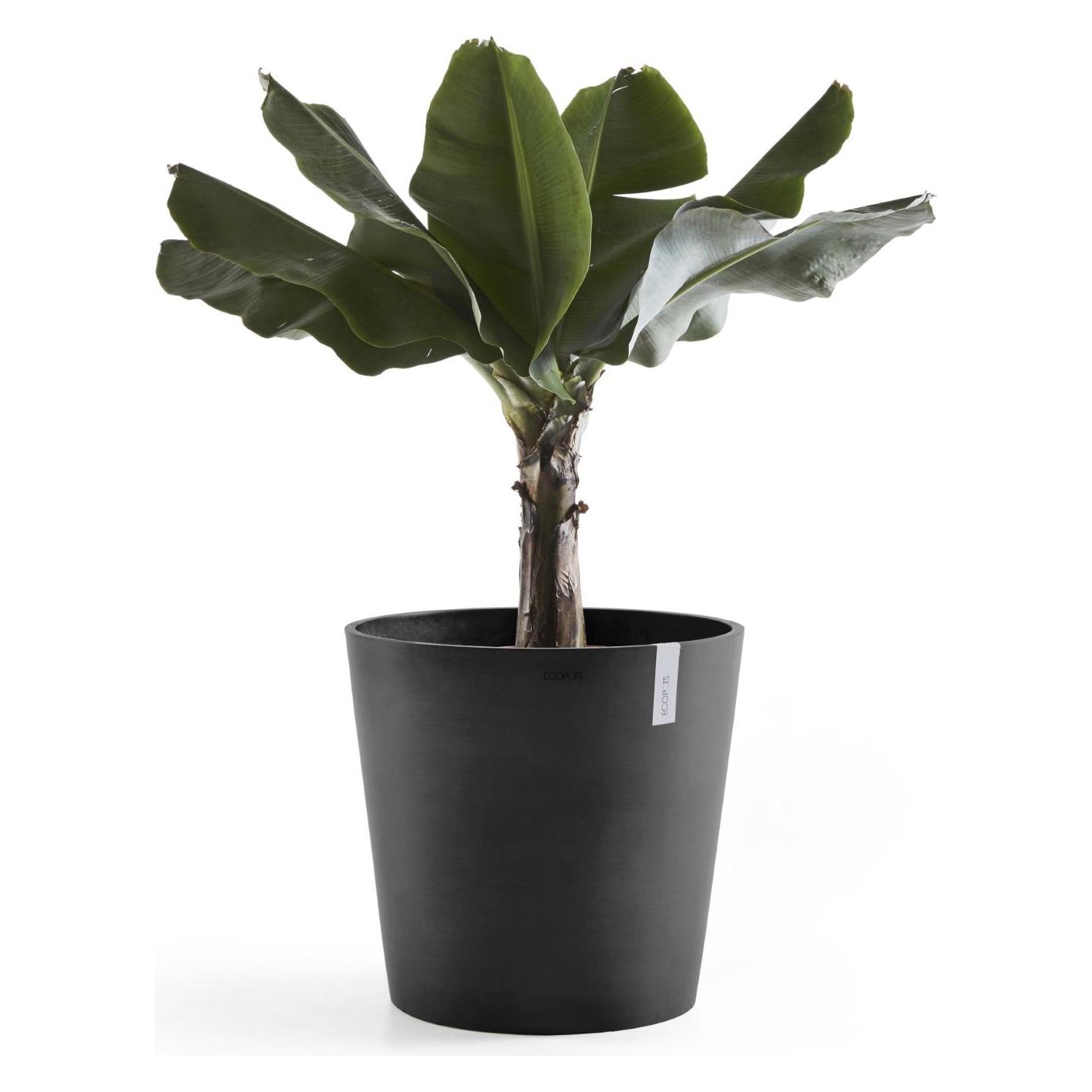 Ecopots Amsterdam (50 x 44 cm) (AM.50.DG)