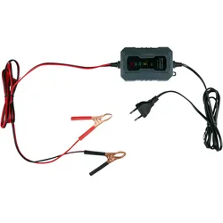 Dunlop, Autobatterie Ladegerät, Batterieerhalter 6/12V 230V (12V, 6V)