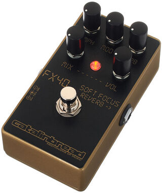 Catalinbread Soft Focus Gold