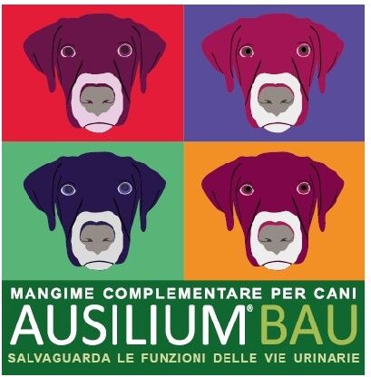 Deakos Ausilium Bau 300 G Con Misurino