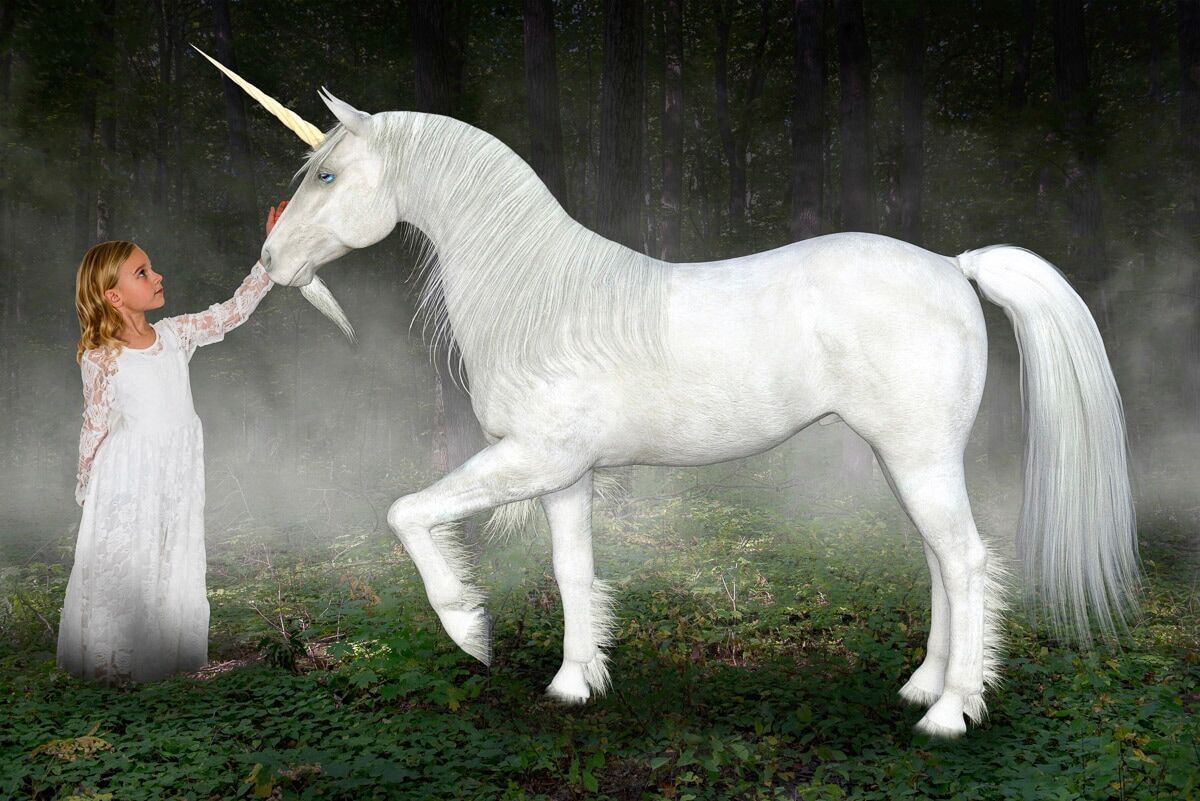 Fototapete PAPERMOON "Einhorn Hoffnung Liebe Frieden", bunt, B:3,5m L:2,6m, Vlies, Tapeten, Fototapete bunt B/L: 3,5m x 2,6m, Bahnen: 7 Stk.