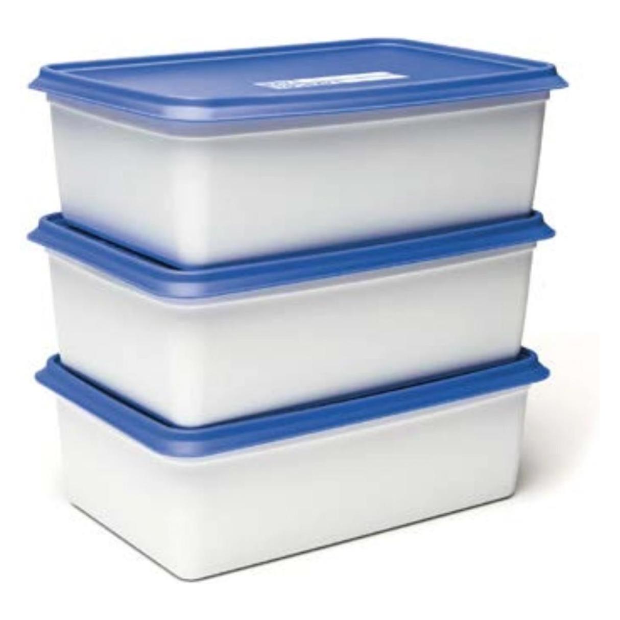 Day To Day Gefrierbox-Set 3x2000ml Alaska (2 l) (DAY006)