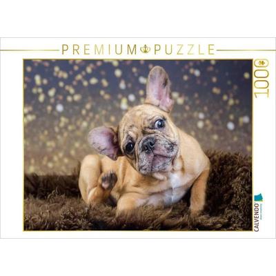 CALVENDO Puzzle French-Bullterrier | 1000 Teile Lege-Größe 64x48cm Foto-Puzzle für glückliche Stunden