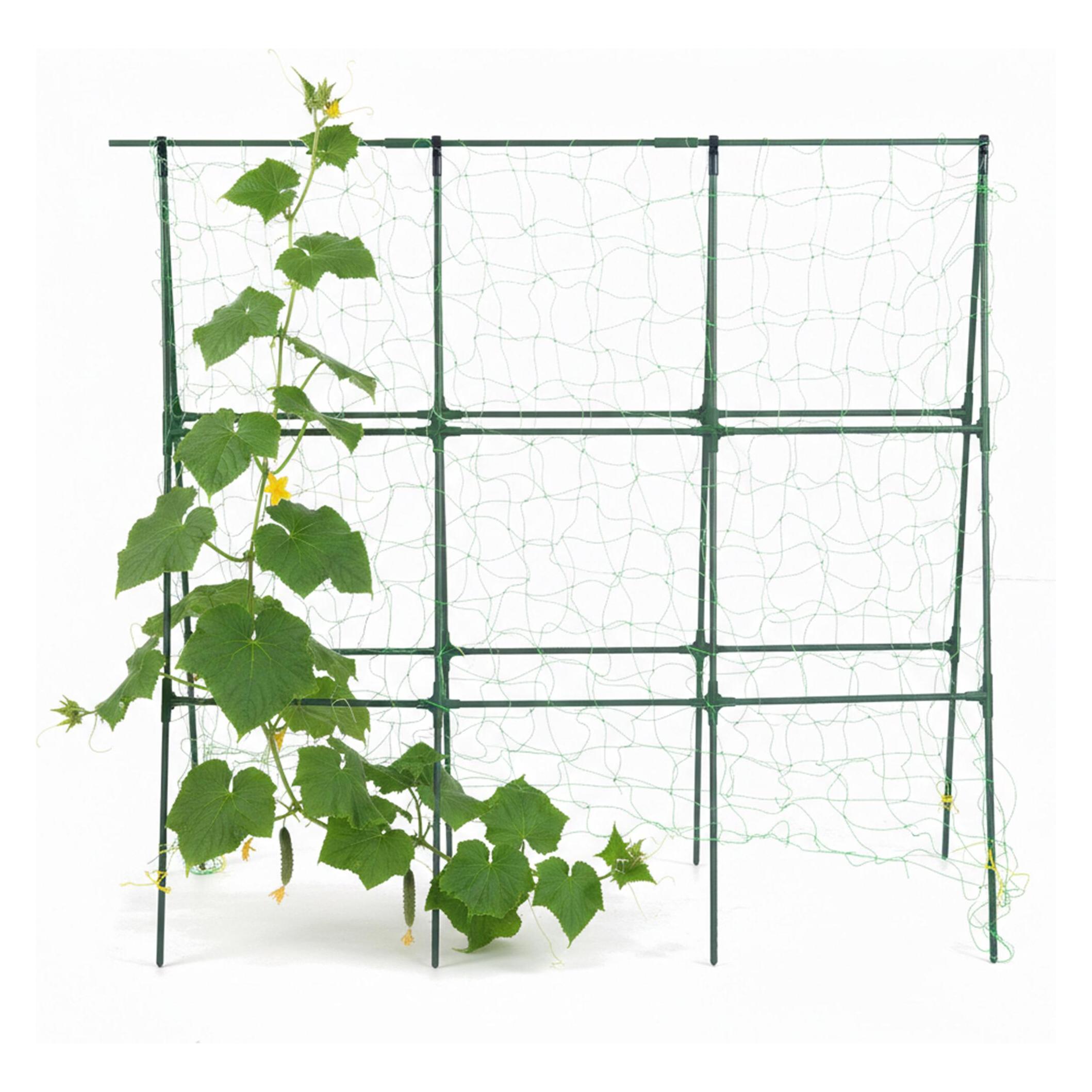 Relaxdays Gurken-Rankhilfe (40 cm, 135 cm) (4052025521745)
