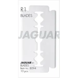 Jaguar Klingen R1 / R1 M
