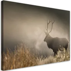 WANDBILD hirsch in der nebel natur