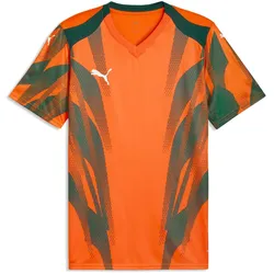 Puma, Herren, Sportshirt, teamFINAL Graphic+ Jersey (S), Orange, S
