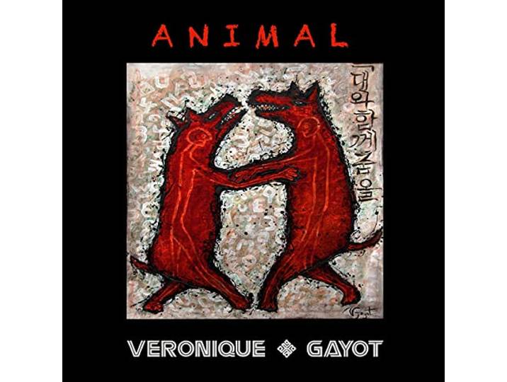 Animal